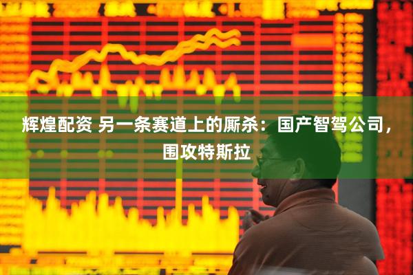 辉煌配资 另一条赛道上的厮杀：国产智驾公司，围攻特斯拉