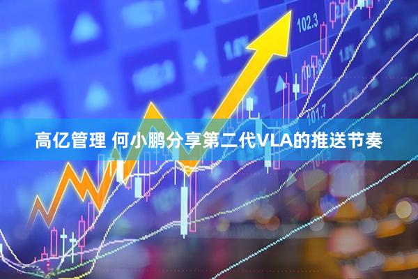 高亿管理 何小鹏分享第二代VLA的推送节奏