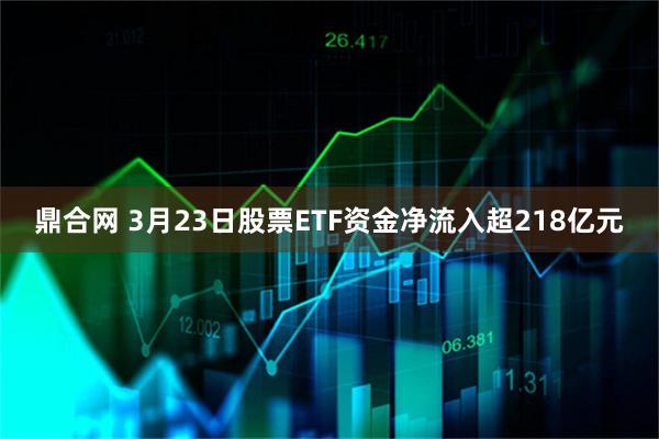 鼎合网 3月23日股票ETF资金净流入超218亿元