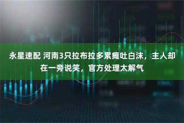永星速配 河南3只拉布拉多累瘫吐白沫，主人却在一旁说笑，官方处理太解气
