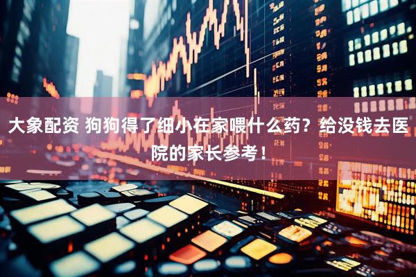 大象配资 狗狗得了细小在家喂什么药？给没钱去医院的家长参考！