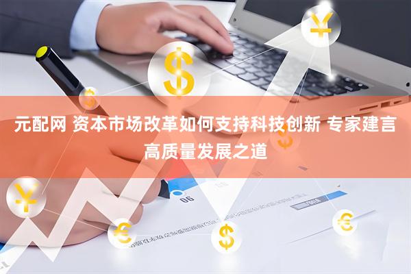 元配网 资本市场改革如何支持科技创新 专家建言高质量发展之道