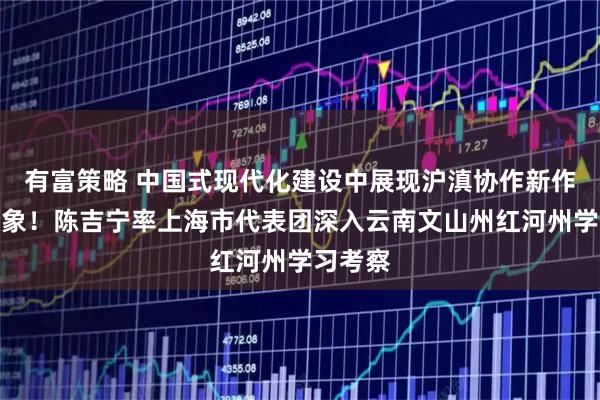 有富策略 中国式现代化建设中展现沪滇协作新作为新气象！陈吉宁率上海市代表团深入云南文山州红河州学习考察