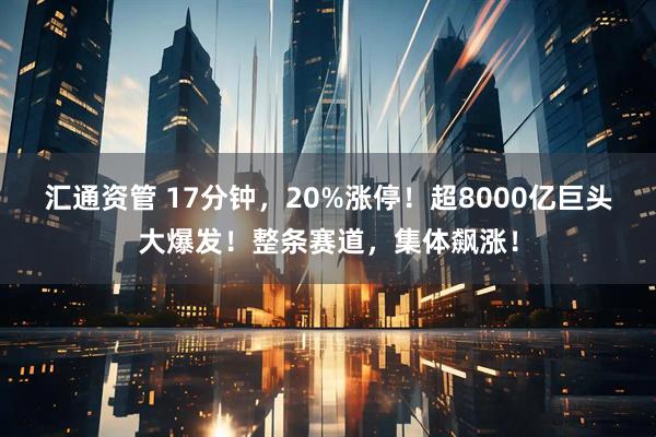 汇通资管 17分钟，20%涨停！超8000亿巨头大爆发！整条赛道，集体飙涨！