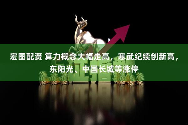 宏图配资 算力概念大幅走高，寒武纪续创新高，东阳光、中国长城等涨停