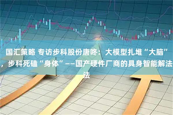 国汇策略 专访步科股份唐咚：大模型扎堆“大脑”，步科死磕“身体”——国产硬件厂商的具身智能解法