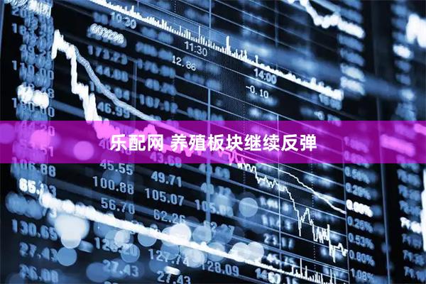 乐配网 养殖板块继续反弹