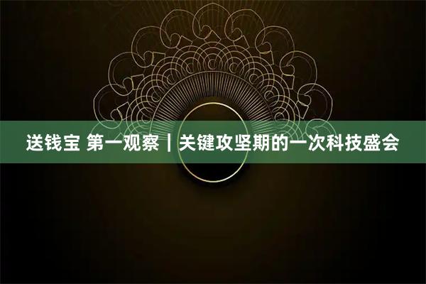 送钱宝 第一观察｜关键攻坚期的一次科技盛会