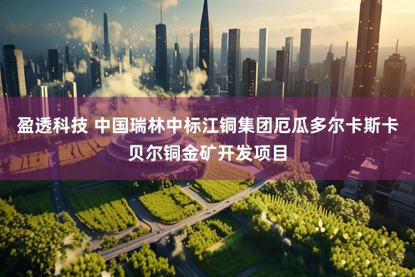 盈透科技 中国瑞林中标江铜集团厄瓜多尔卡斯卡贝尔铜金矿开发项目